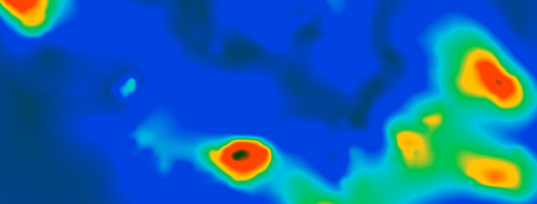 Heatmap built from AG Sabass research data